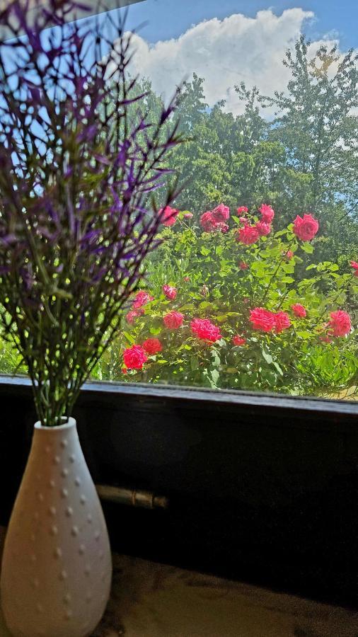 Ferienwohnung Rodder Maar Niederzissen エクステリア 写真