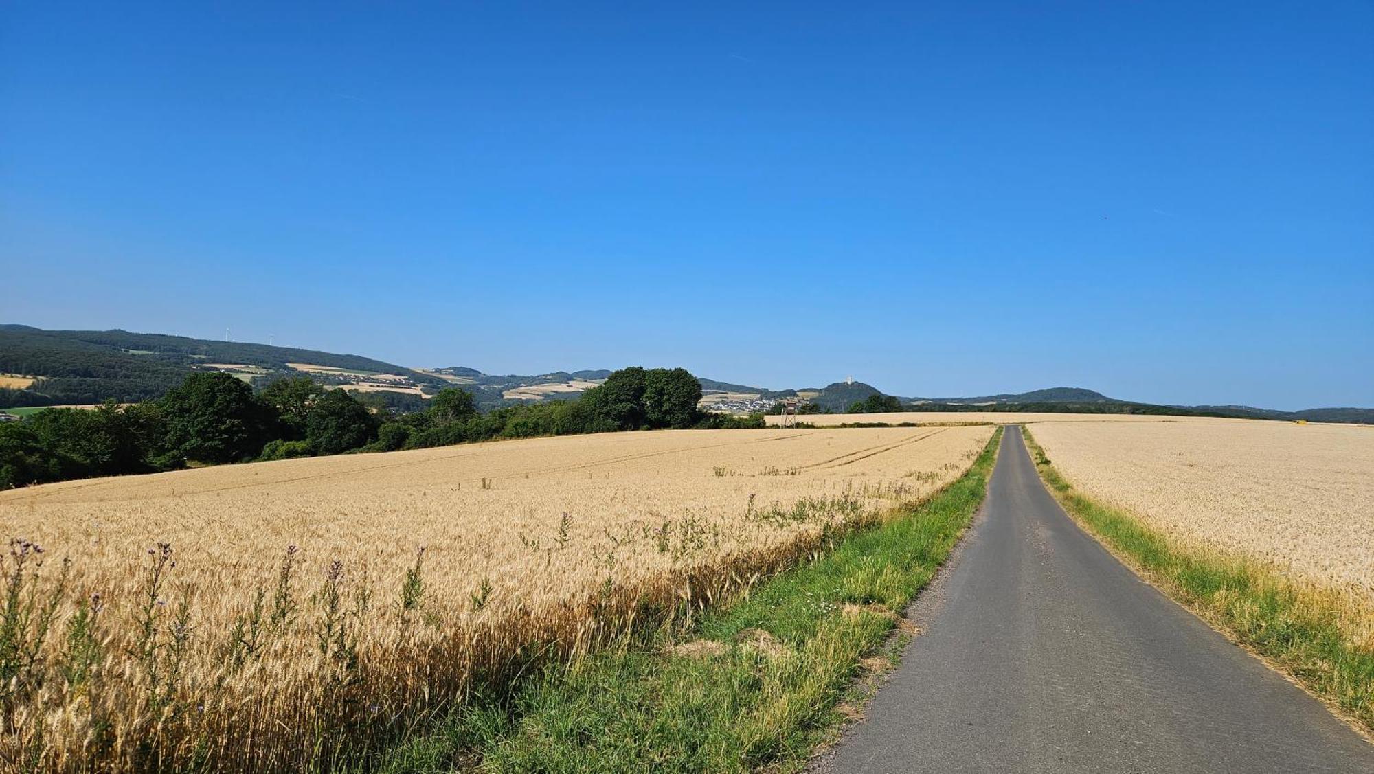 Ferienwohnung Rodder Maar Niederzissen エクステリア 写真